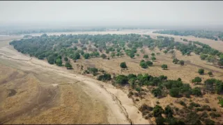 Zebry - hvězdy s pruhy