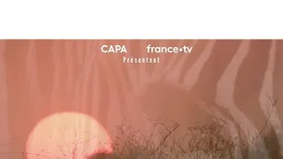 Zebry - hvězdy s pruhy