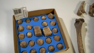 Vikinské válečnice