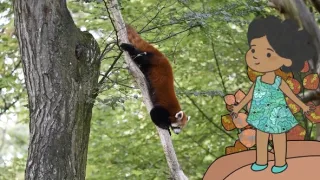 Velká kniha o zvířátkách II