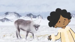 Velká kniha o zvířátkách II