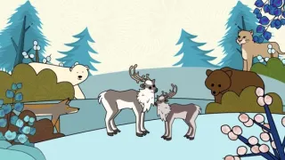 Velká kniha o zvířátkách II