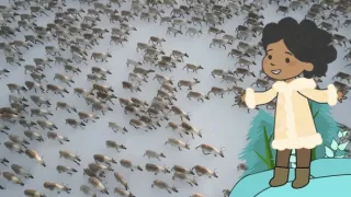 Velká kniha o zvířátkách II