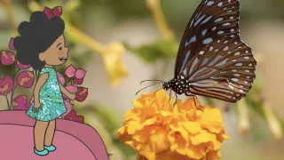 Velká kniha o zvířátkách II