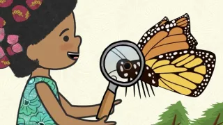 Velká kniha o zvířátkách II