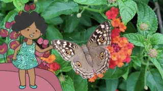 Velká kniha o zvířátkách II