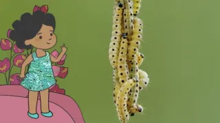 Velká kniha o zvířátkách II