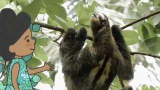 Velká kniha o zvířátkách II