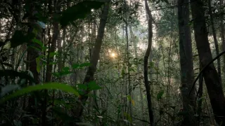 Zázračná planeta: Asie (4/7)