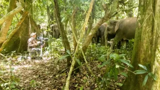 Zázračná planeta: Asie (4/7)