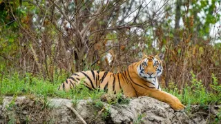 Zázračná planeta: Asie (4/7)