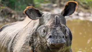 Zázračná planeta: Asie (4/7)