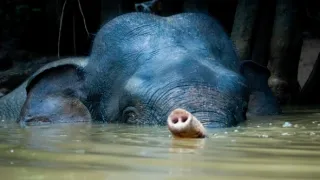 Zázračná planeta: Asie (4/7)