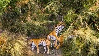 Zázračná planeta: Asie (4/7)