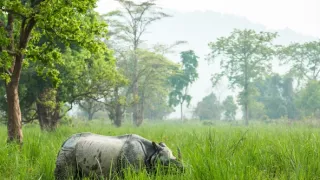 Zázračná planeta: Asie (4/7)