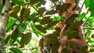 Zázračná planeta: Asie (4/7)