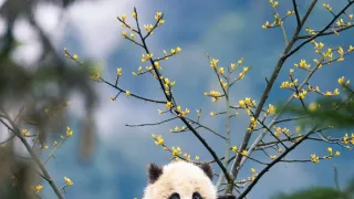 Zázračná planeta: Asie (4/7)