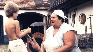 Slunce, seno, jahody