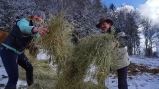 Co Čech, to chovatel