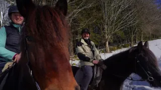 Co Čech, to chovatel