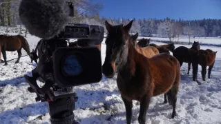 Co Čech, to chovatel