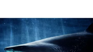 USS Indianapolis: Napospas žralokom (1/2)