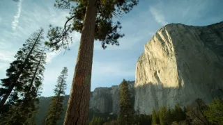 Začalo to v Yellowstonu - národní parky USA a jejich příroda
