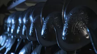 Tajomstvá Vatikánu (1/5)