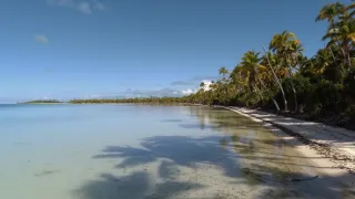 Marlon Brando na rajském ostrově