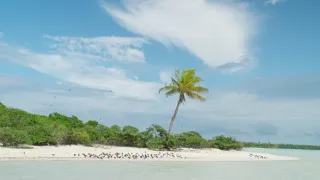 Marlon Brando na rajském ostrově