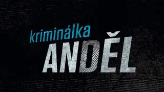 Kriminálka Anděl (9)
