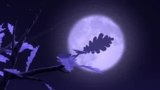 Edmond a Lucy: Čarovná zima