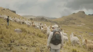 Peru: Oběti v království Chimor