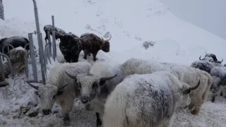 Na cestě po Tridentsku