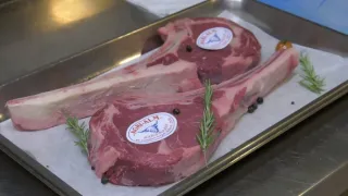 Na cestě po Tridentsku