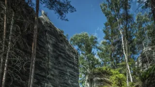O zakletém králi a odvážném Martinovi