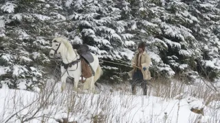O zakletém králi a odvážném Martinovi