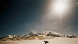 Vzácní živočichové čínské přírody