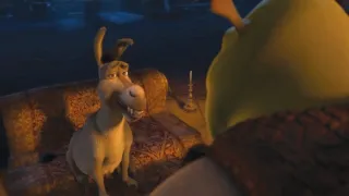 Kdopak by se Shreka bál