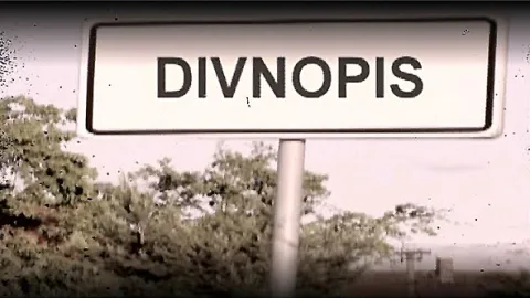 Divnopis