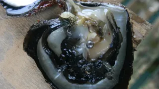 Na cestě po Bora Bora