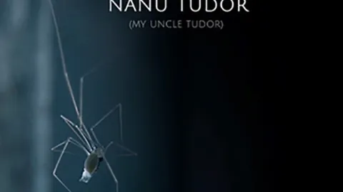 Můj strýček Tudor