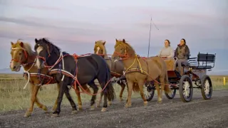 Island - elfové, led a oheň
