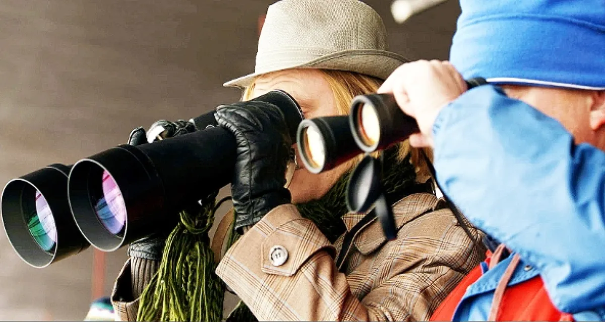 Czech Made Man, 2011 - fotogaléria