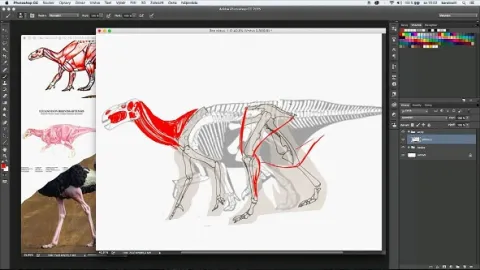 Záhady přírodovědy