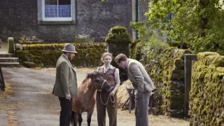 Všechny velké a malé bytosti V