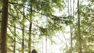 Ve jménu krále 2: Dva světy