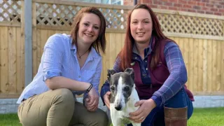 Veterinář z Yorkshiru XII (9)