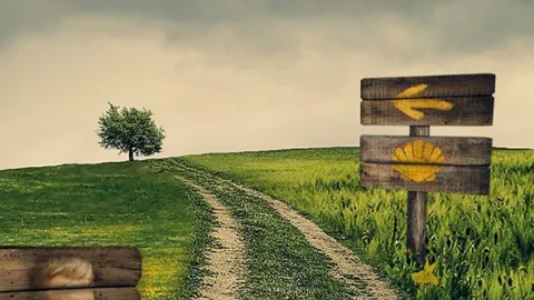 Každý krok se počítá