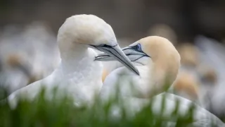 Cesty kolem světa (10/12)